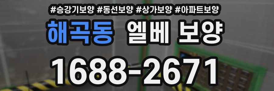 해곡동 엘베 보양