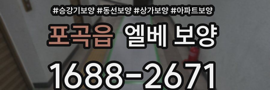 포곡읍 엘베 보양