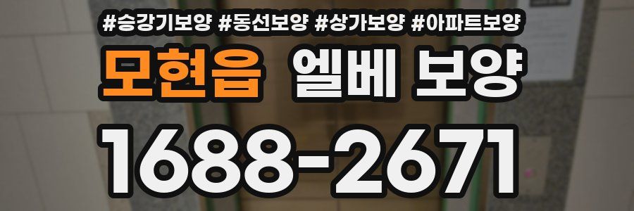 모현읍 엘베 보양