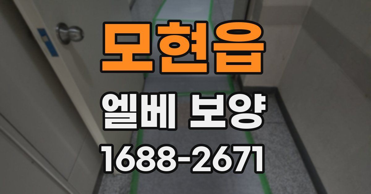 모현읍 엘베 보양