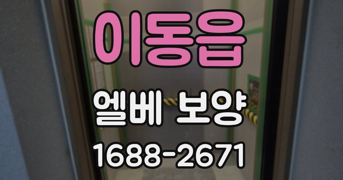이동읍 엘베 보양