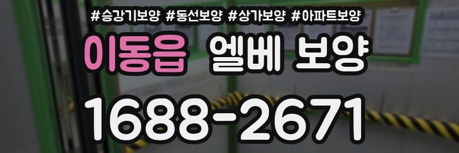 이동읍 엘베 보양