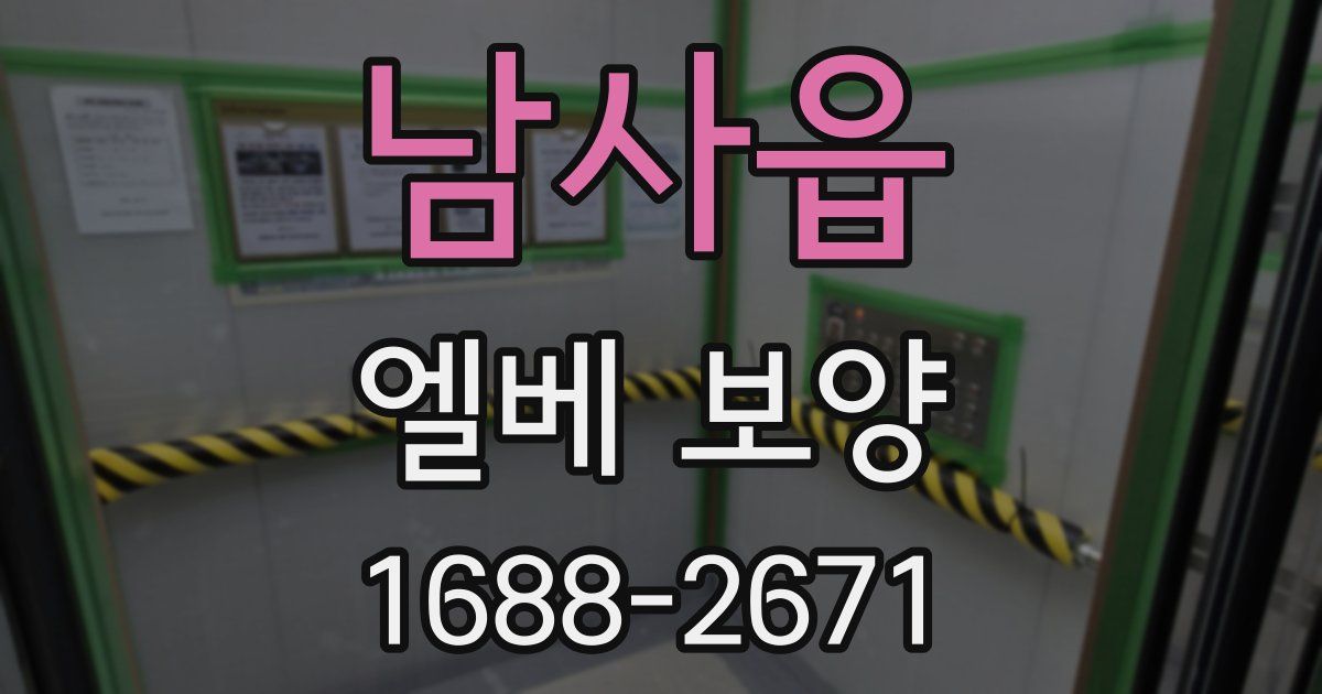 남사읍 엘베 보양