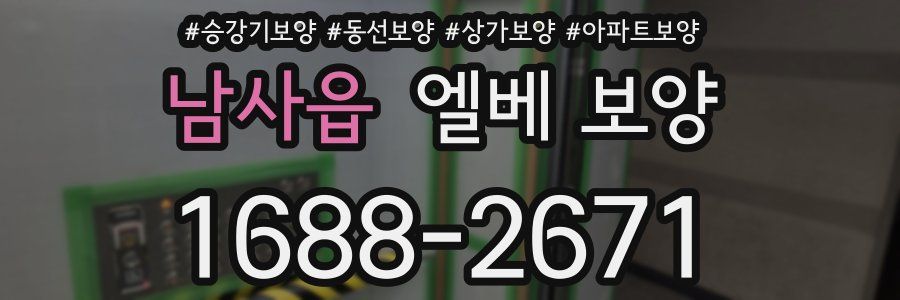 남사읍 엘베 보양