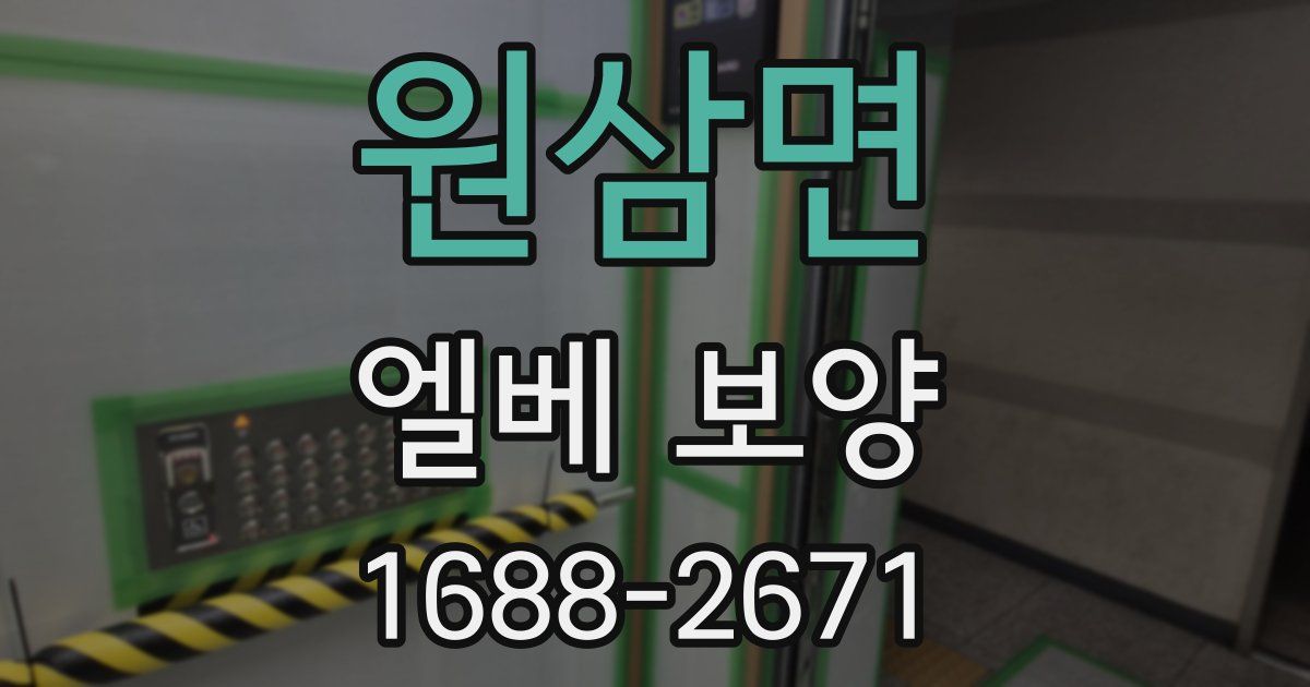 원삼면 엘베 보양