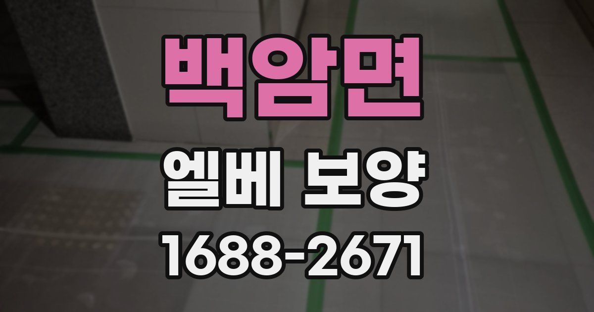 백암면 엘베 보양