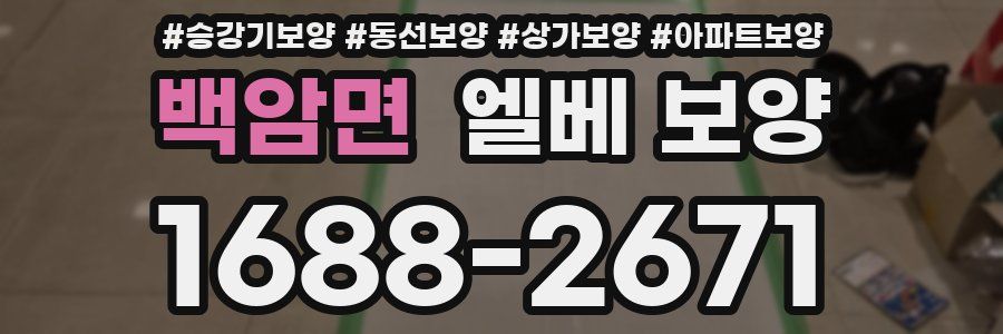 백암면 엘베 보양