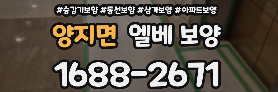 양지면 엘베 보양