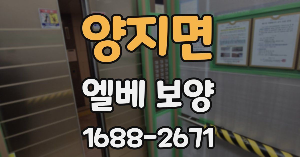 양지면 엘베 보양