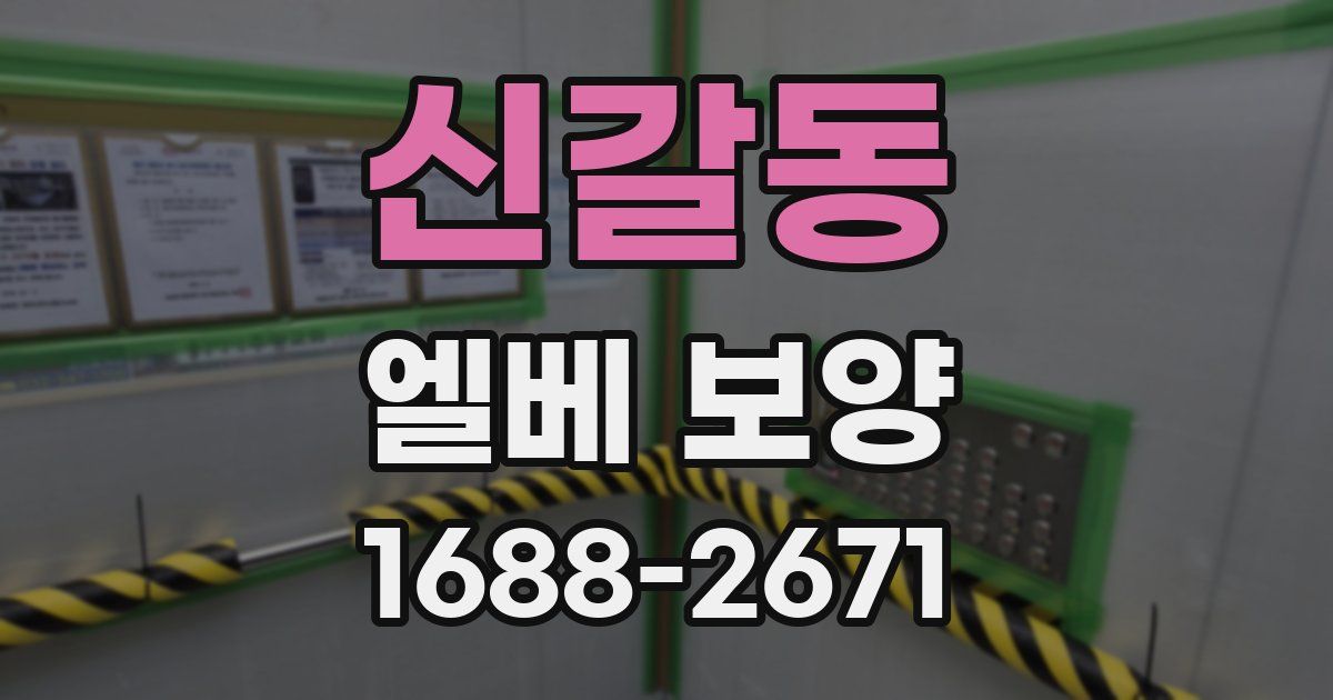 신갈동 엘베 보양