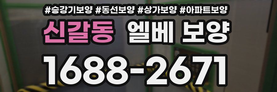 신갈동 엘베 보양