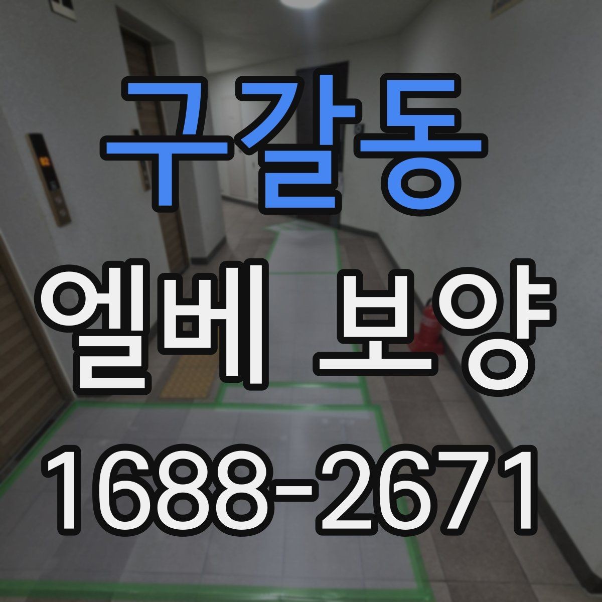 구갈동 엘베 보양 반복 사용하는 현장에서 내구성 높이는 기준