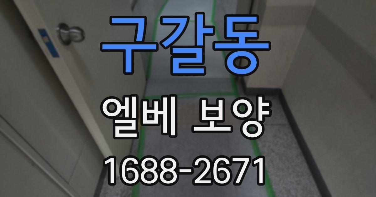 구갈동 엘베 보양