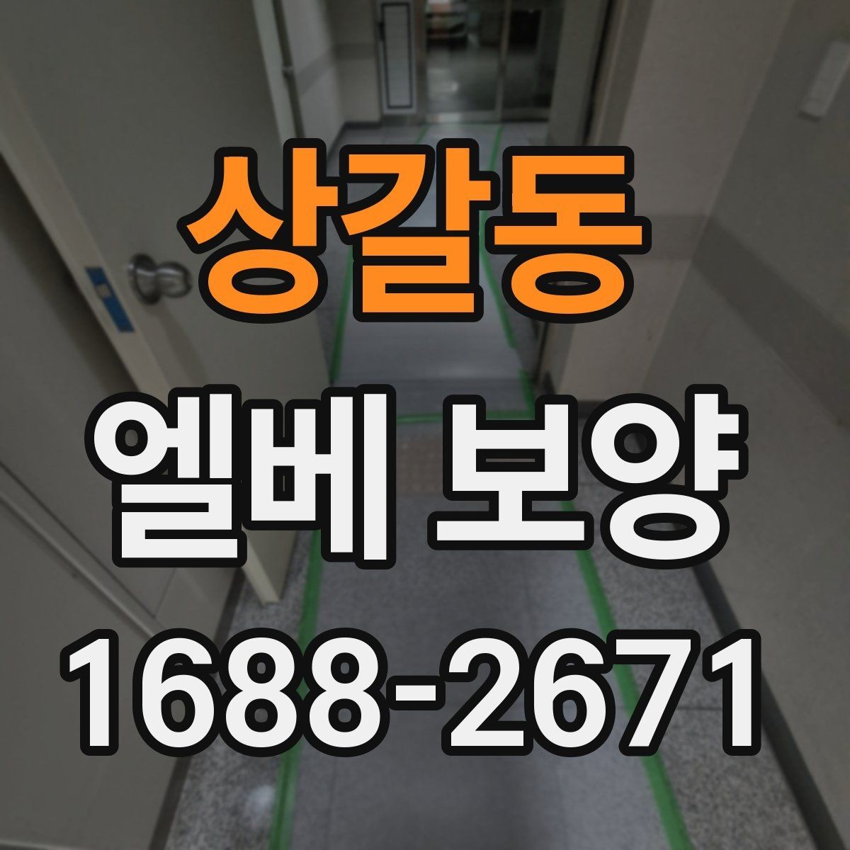 상갈동 엘베 보양 이삿짐 이동 중 필요한 보호 범위 정리