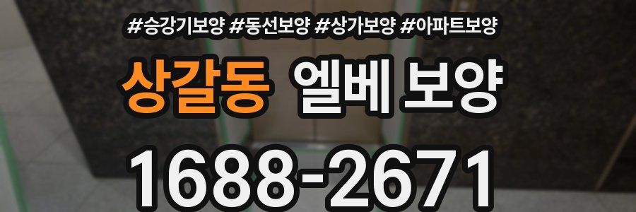 상갈동 엘베 보양