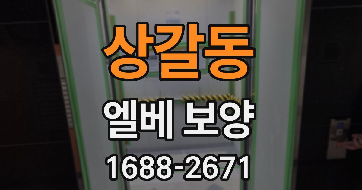 상갈동 엘베 보양