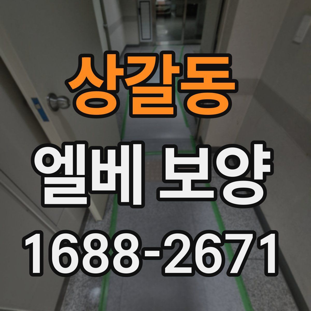 상갈동 엘베 보양