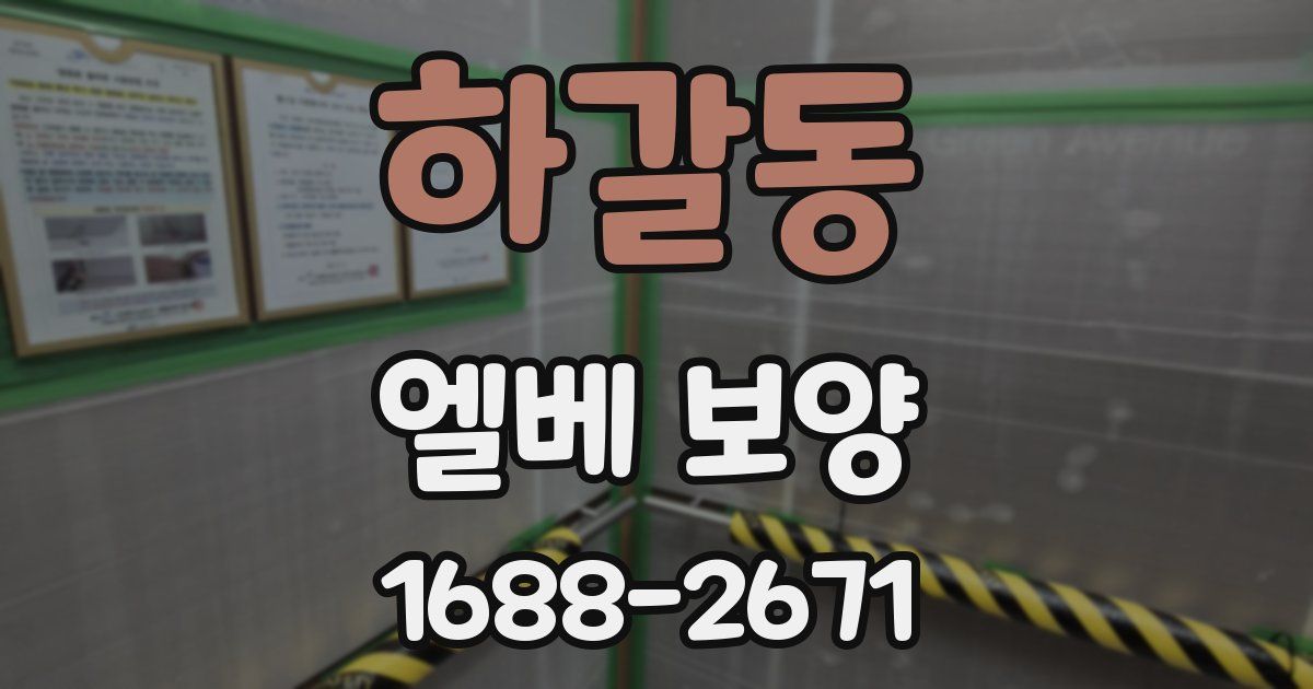 하갈동 엘베 보양