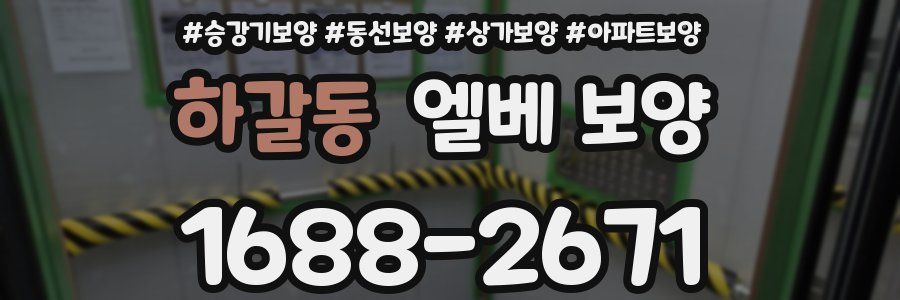 하갈동 엘베 보양