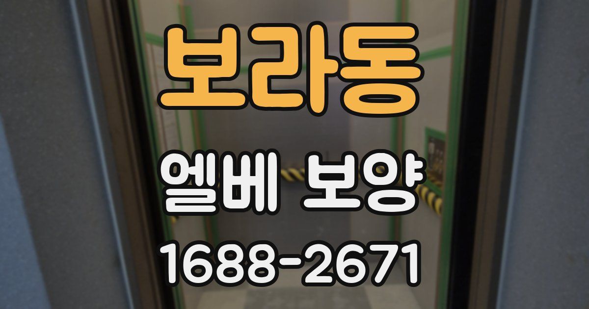 보라동 엘베 보양