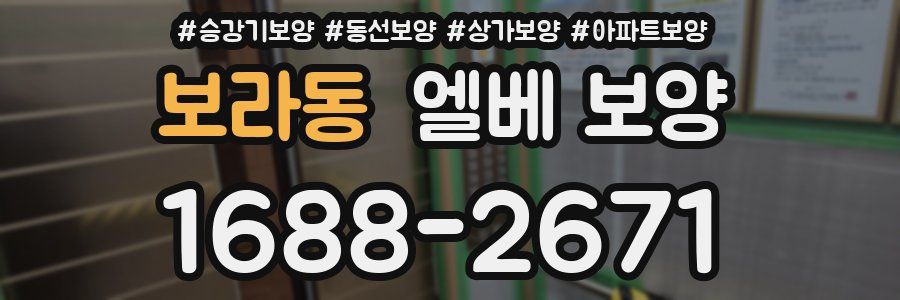 보라동 엘베 보양