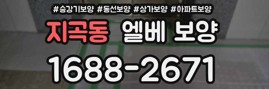 지곡동 엘베 보양