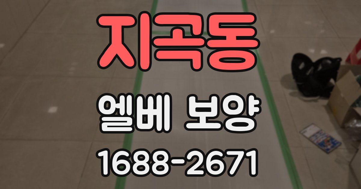 지곡동 엘베 보양
