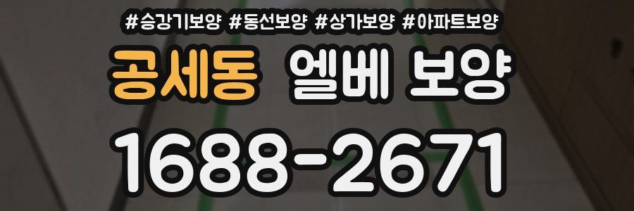 공세동 엘베 보양