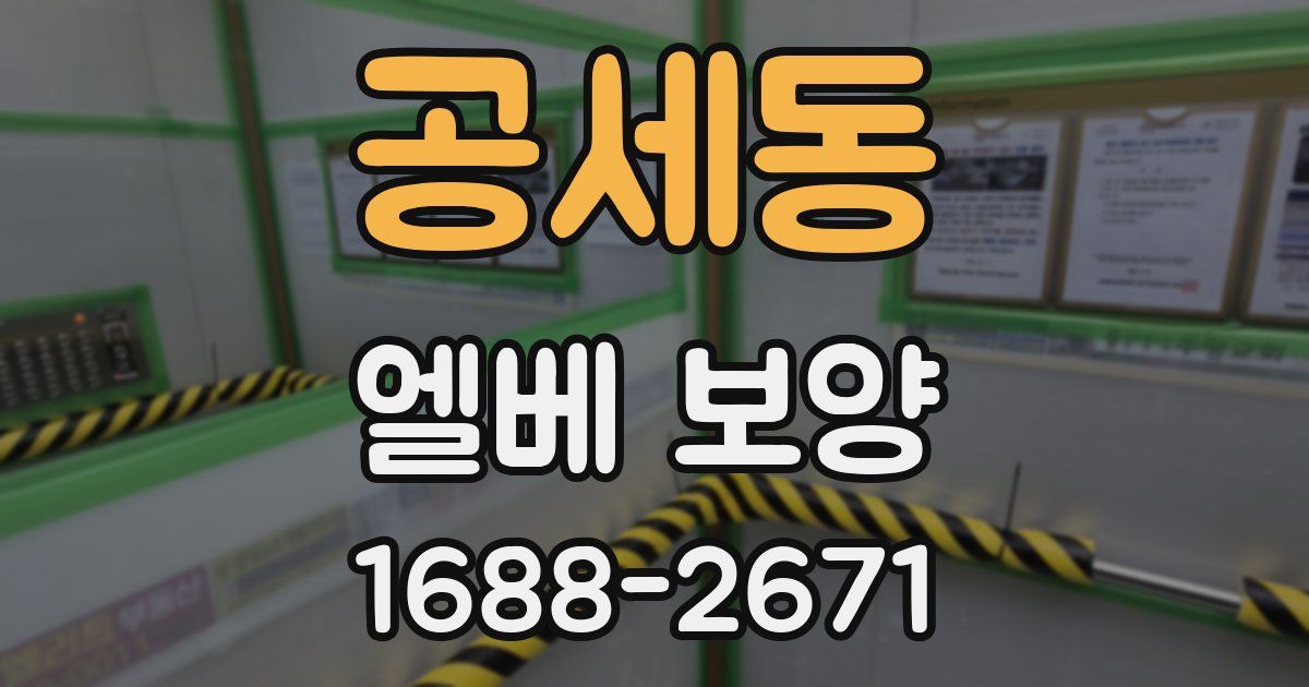 공세동 엘베 보양