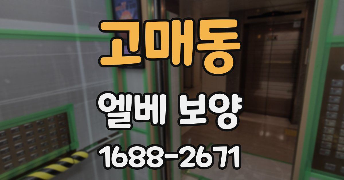 고매동 엘베 보양