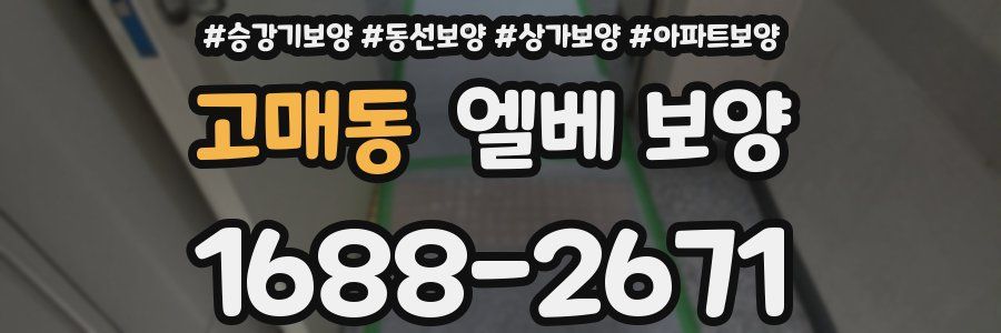 고매동 엘베 보양