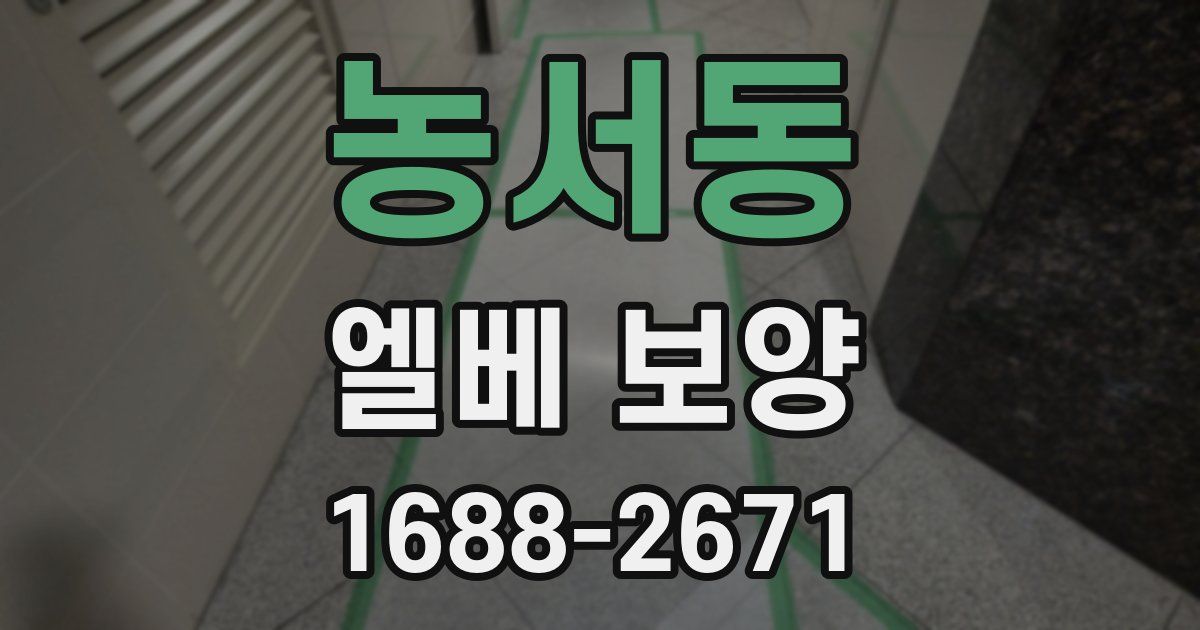 농서동 엘베 보양