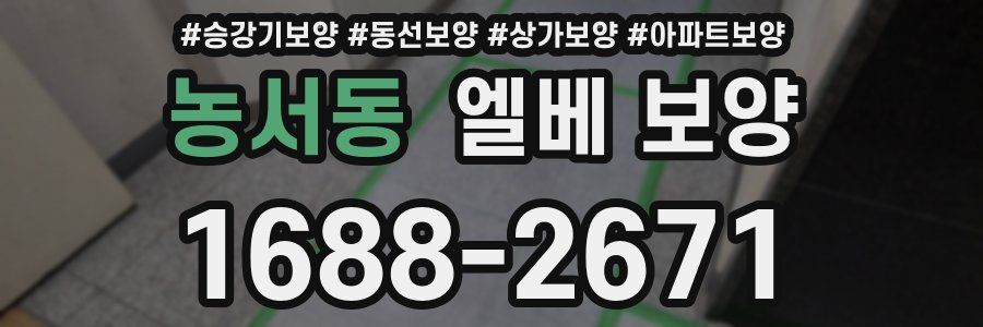 농서동 엘베 보양
