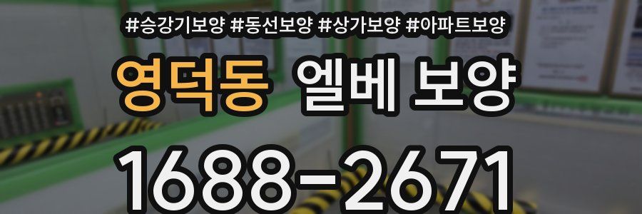 영덕동 엘베 보양