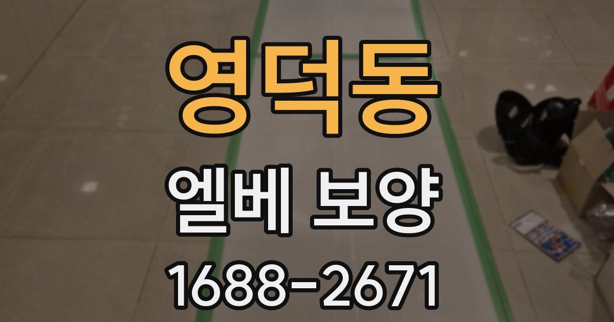 영덕동 엘베 보양