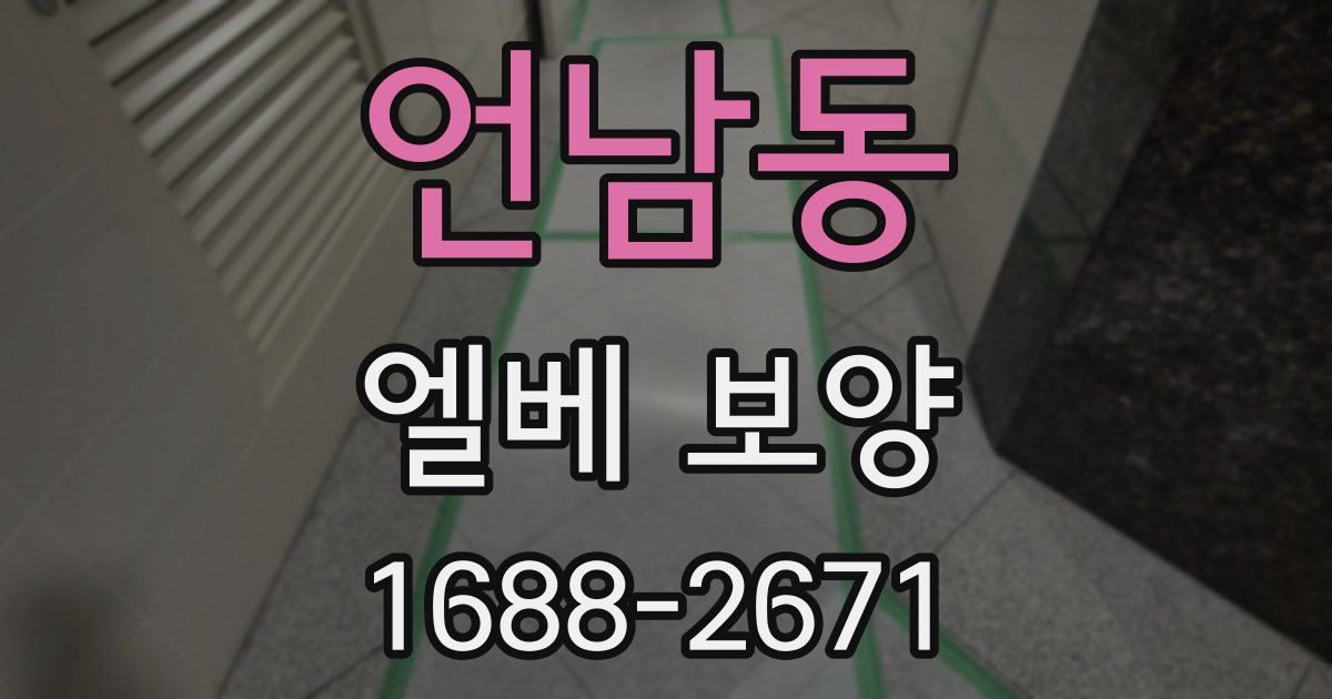 언남동 엘베 보양