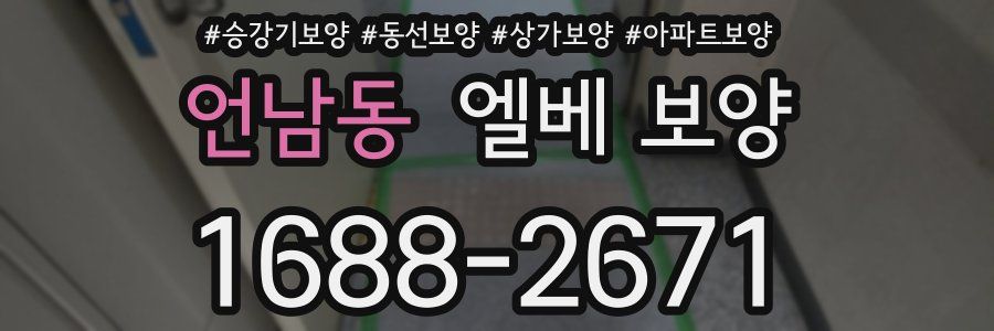 언남동 엘베 보양