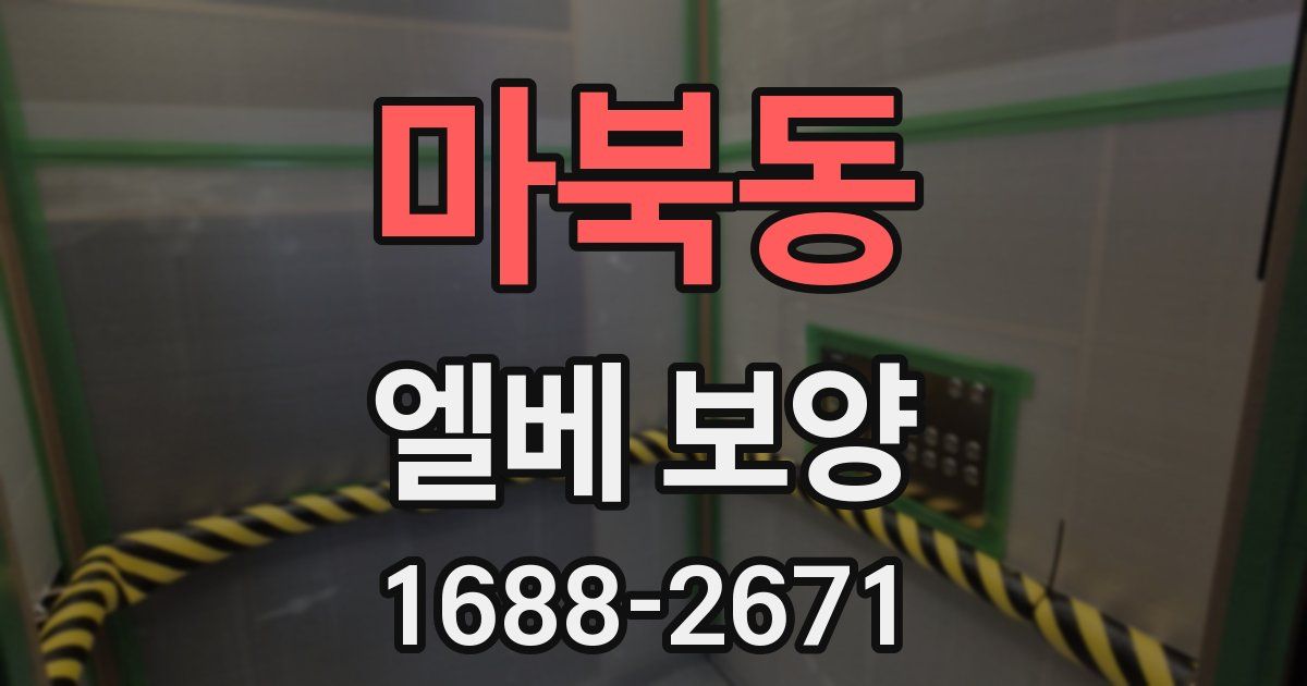마북동 엘베 보양