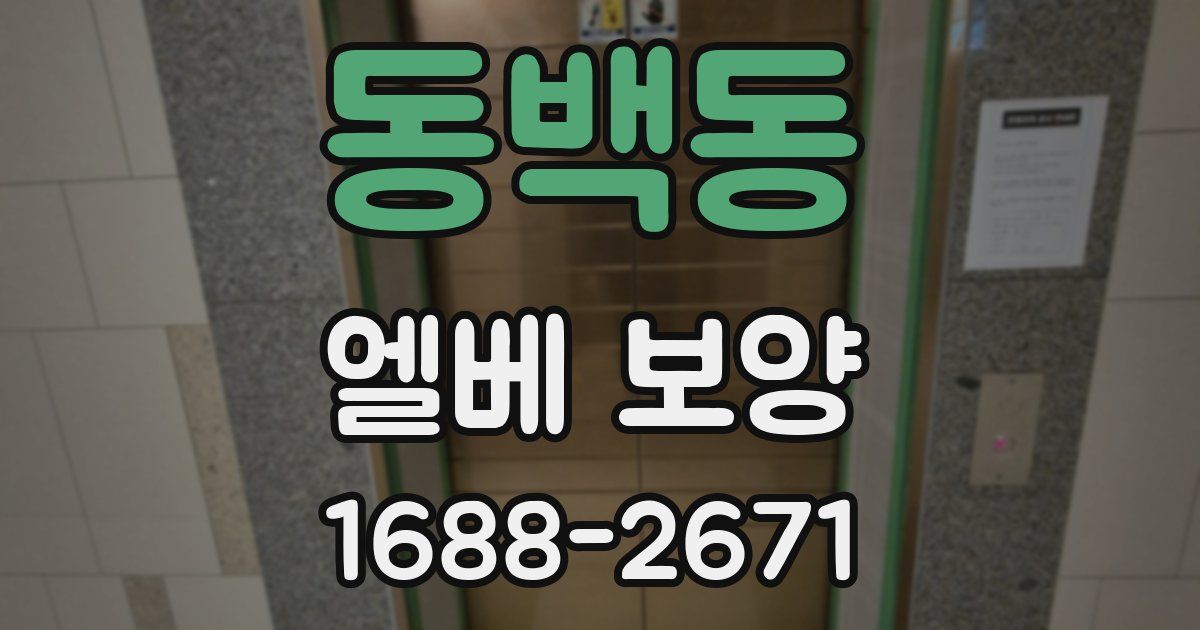 동백동 엘베 보양