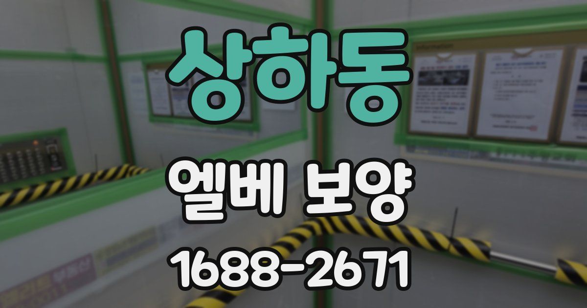 상하동 엘베 보양