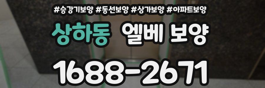 상하동 엘베 보양