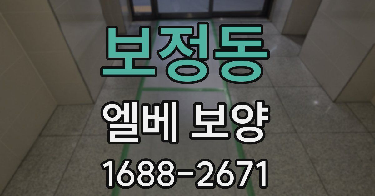 보정동 엘베 보양