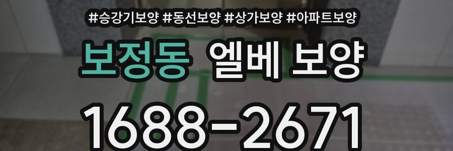 보정동 엘베 보양