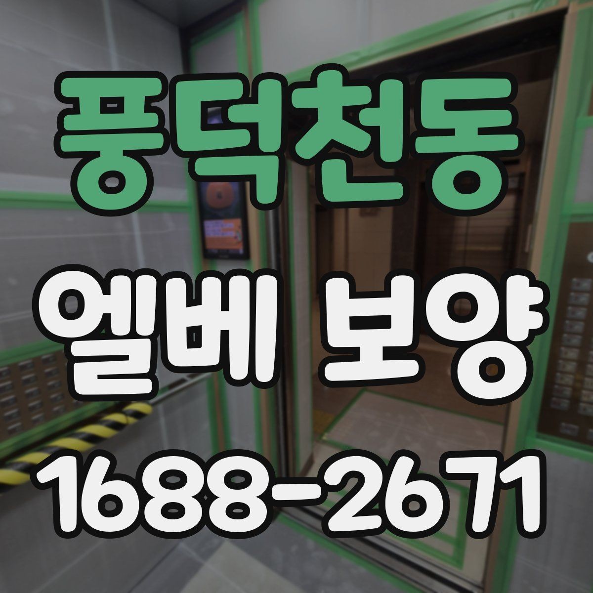 풍덕천동 엘베 보양 대형 이사 현장에 맞춘 보호 범위 설정