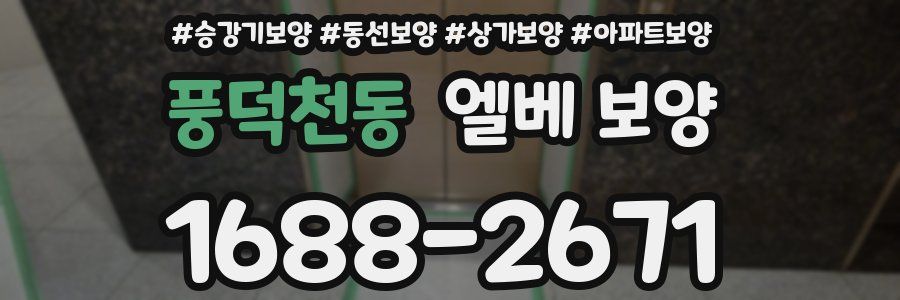 풍덕천동 엘베 보양