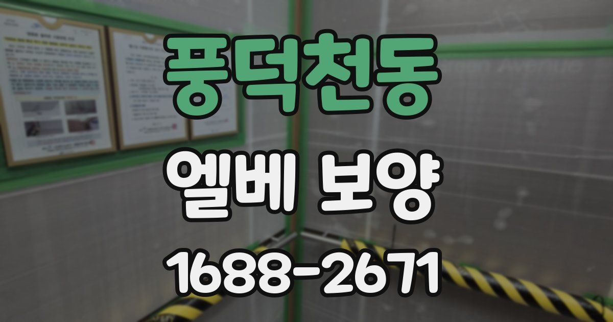 풍덕천동 엘베 보양