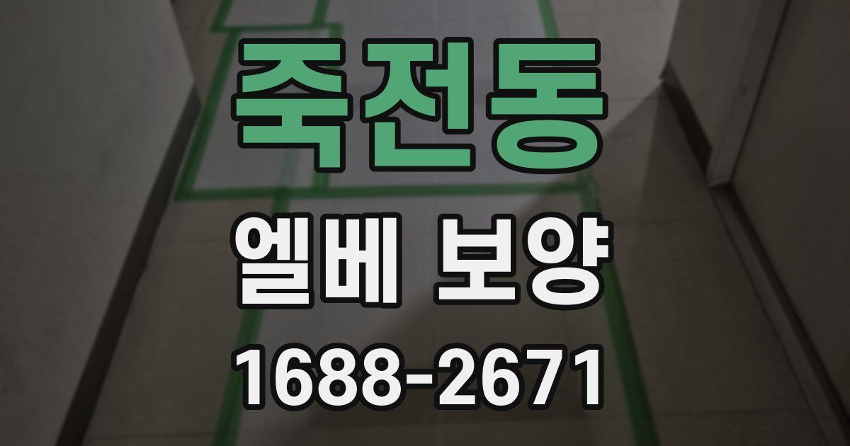 죽전동 엘베 보양