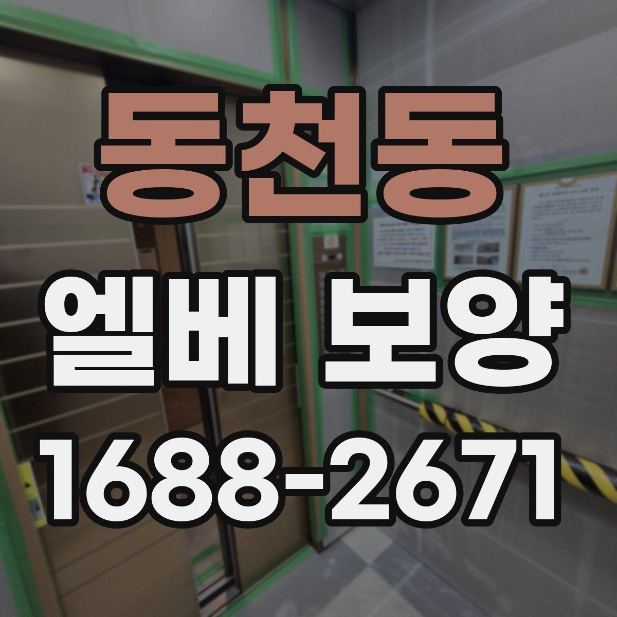 동천동 엘베 보양 비가 잦은 시기 오염 번짐을 막는 요령