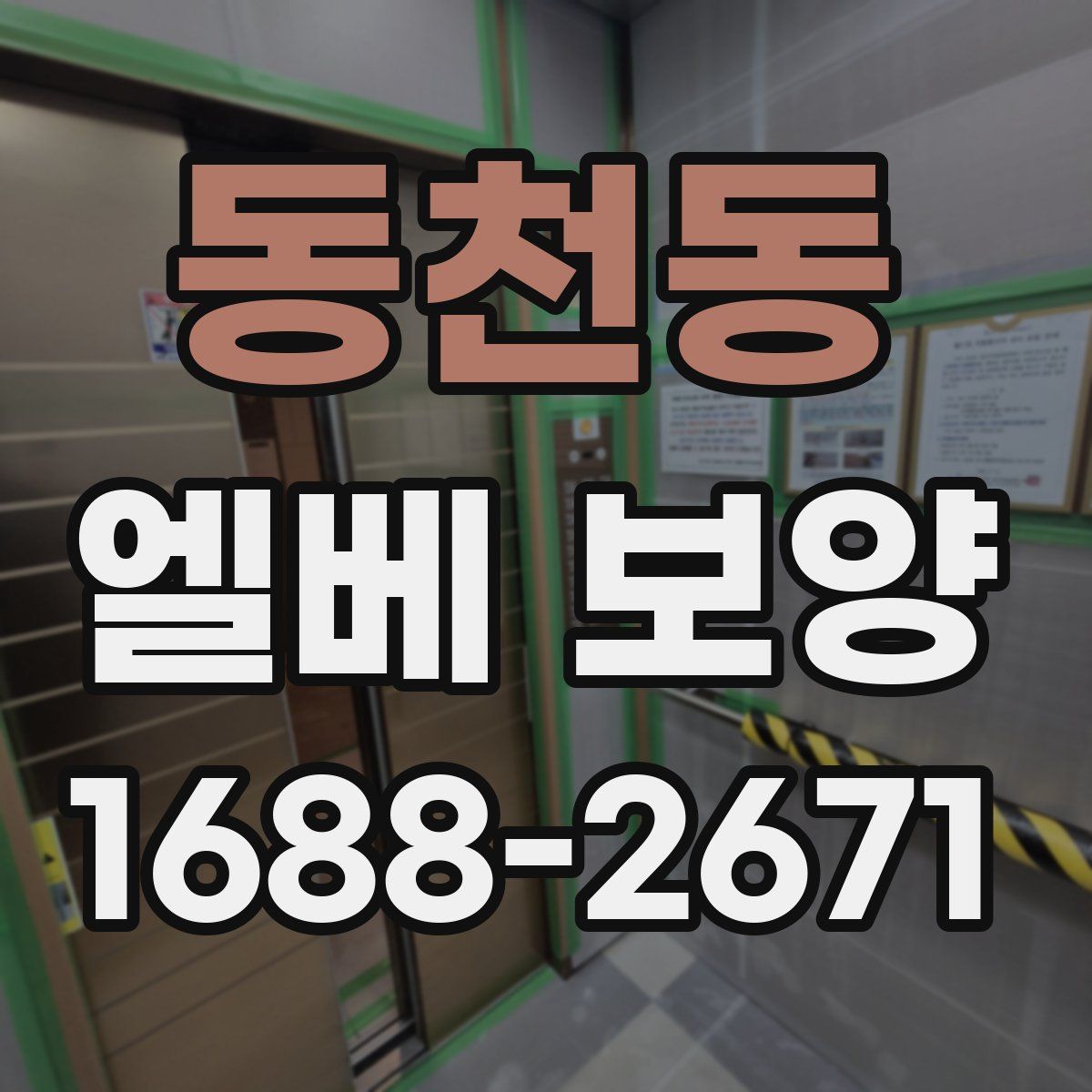 동천동 엘베 보양