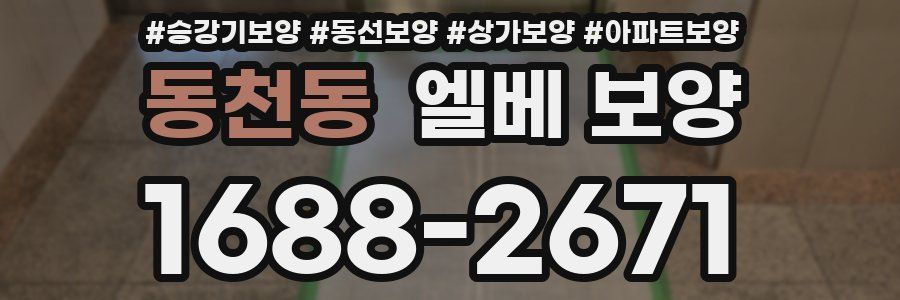 동천동 엘베 보양